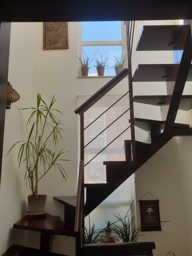 فيلا Banyan Cotobro Almuñécar المظهر الخارجي الصورة
